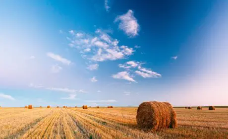 Construction bois avec isolation en paille, solution écologique et performante