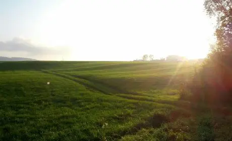 Les Jardins de Soliers